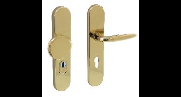 Intersteel Veiligheidsbeslag SKG3 ovaal kerntrekbeveiliging profielcilincergat 72mm messing titaan PVD voordeurbeslag