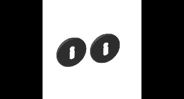 Intersteel Sleutelrozet geborsteld RVS mat zwart