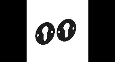 Intersteel Cilinderrozet 2mm dun RVS/zwart