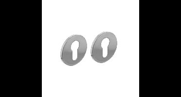 Intersteel Cilinderrozet rond plat verdekt geborsteld RVS