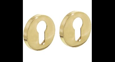 Intersteel Profielcilindergat rozetten messing gelakt