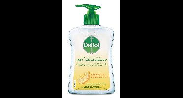 Dettol Dettol Wasgel Citrus 250ml