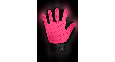 Vanish Vanish Pet Expert Cleaning Glove