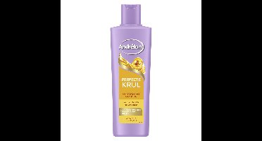 Andrélon Andrelon Shampoo - Perfecte Krul 250ml