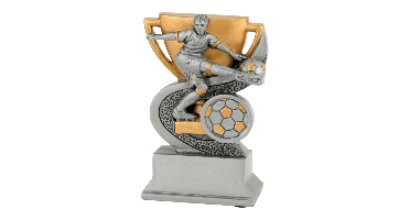 Sport Trofee - Voetbal Heer