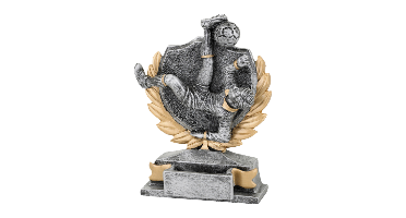 Sport Trofee - Voetbal Omhaal