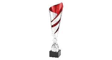 Trofee 100.11