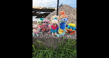 Haakpakket byClaire Vriendjes van het water