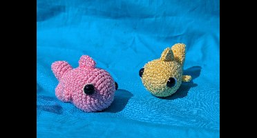 Haakpakket Vis (Zee-thema slinger)