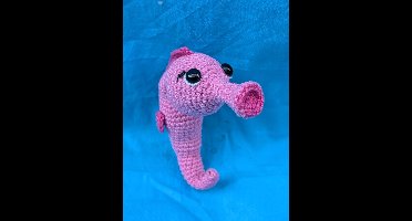 Haakpakket Zeepaard (Zee-thema slinger)