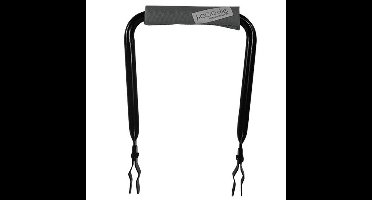 Rugsteun Rugleuning zwart met Silver Solid rugkussentje