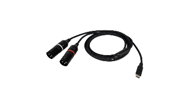 DAP FL115 verloopkabel USB-C naar 2x XLR 75cm