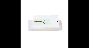 SLV MANA 2 LED wandlamp