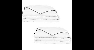 Winterdekbed 140x200 cm dons 2 st