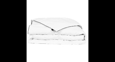 Winterdekbed 150x200 cm dons