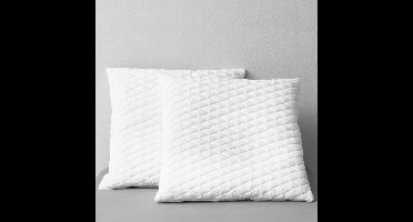 Kussens 2 st 80x80x14 cm traagschuim