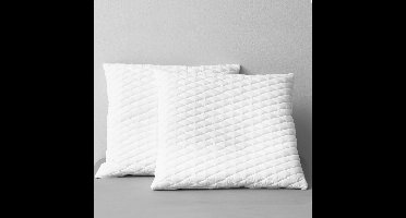 Kussens 2 st 70x60x14 cm traagschuim