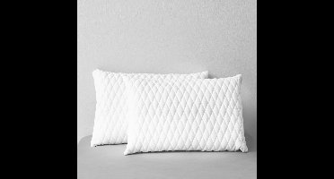 Kussens 2 st 60x40x14 cm traagschuim