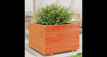 Plantenbak 70x70x49,5 cm massief grenenhout wasbruin