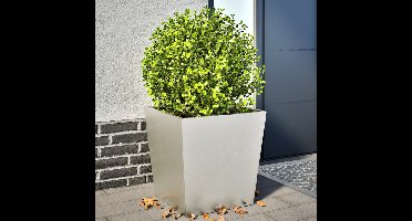 Plantenbakken 2 st 50x50x50 cm roestvrij staal