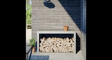 Haardhoutrek 100x40x60 cm roestvrij staal