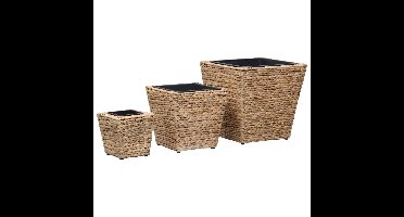 Plantenbakken verhoogd 3 st waterhyacint