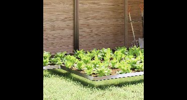 Slakkenhekje Zilver 13,5 x 13,5 x 25 cm Gegalvaniseerd staal