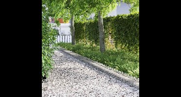 Gazonranden 20 pcs Zilver 103 x 0,05 x 22 cm