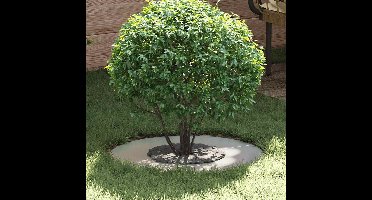 geschikt voor platte boomring ZilverØ30 / 60 cm