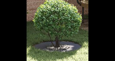 geschikt voor platte boomring AntracietØ30 / 60 cm Staal