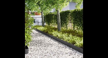 Tuinrand 20 pcs Zwart 100 x 0.05 x 20 cm Koudgewalst staal