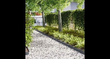 Tuinrand 10 pcs Antraciet 100 x 0.05 x 20 cm Koudgewalst staal