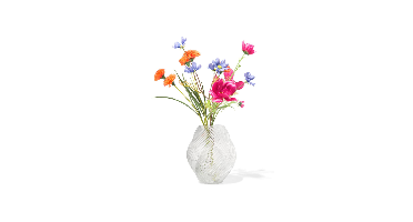 HEMA Vaas ⌀8x21cm twist retro transparant (transparant)