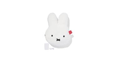 HEMA Nijntje oplaadbaar warmtekussen 55x40x18cm