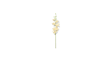HEMA Kunstbloem dendrobium 55cm rubber wit (wit)