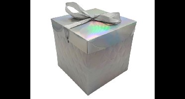 Kartonnen Cadeaudoos Geruit Zilver - 15x15x15cm