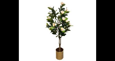 Kunstplant Magnolia - Wit - 180cm