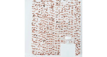 Backdrop Bloemen Roségoud Ginger Ray