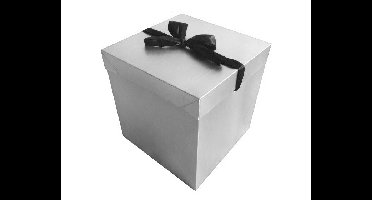 Cadeaudoos Zilver + Zwarte Strik - 22cm