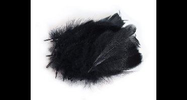 Decoratie Veren Zwart (±50st)