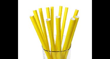 Papieren Rietjes Geel (12st)