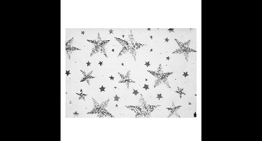 Tafelkleed Silver Stars - 150x220 cm