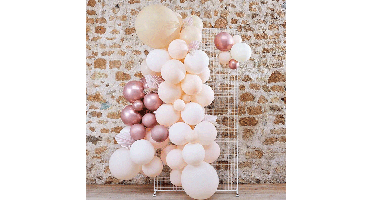 Ballonnenboog A Touch of Pampas Ginger Ray