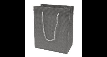 Plastic Cadeautas S Grijs