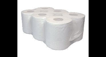 Poetsrol XL 2-laags 19cm (6st)