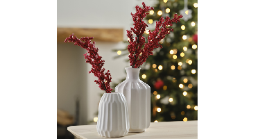 Rode Bessen Takken Ginger Ray - Set van 5 stuks