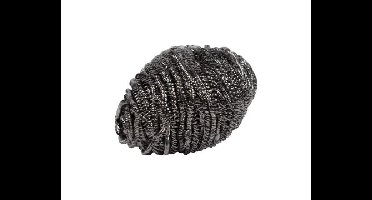 Schuurspons Inox - 40gr
