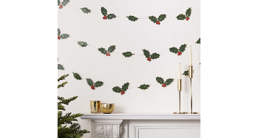 Slinger Hulst&Bessen Ginger Ray - 5 meter lang