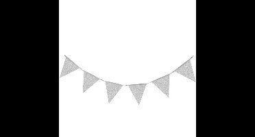 Glitter Slinger Zilver (6m)