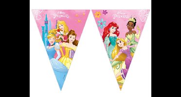 Papieren Vlaggenlijn Disney Princess - 2,3m